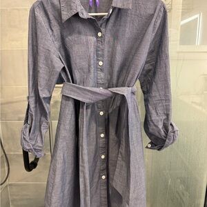 Seraphine Maternity Button-Up Shirt Dress